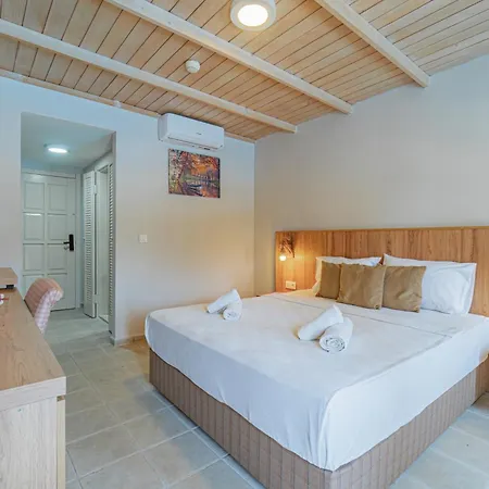 Hotel Alexander The Great & 3*