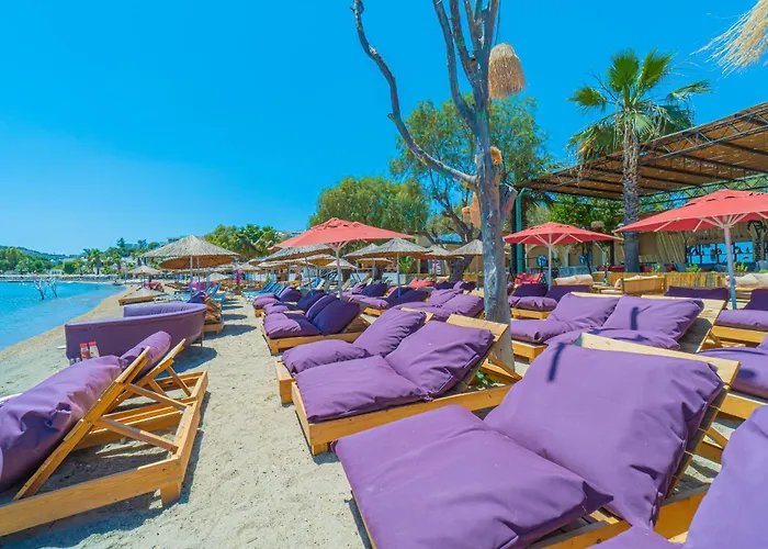 Alexander The Great &