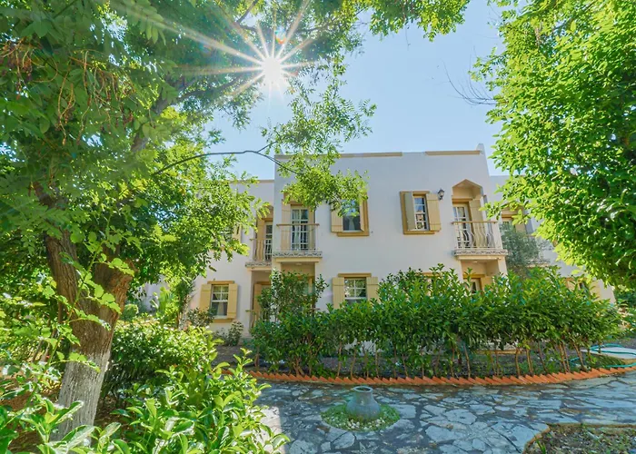 Alexander The Great &