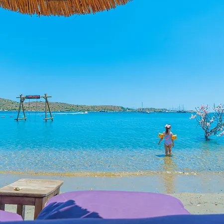 Alexander The Great & 3*