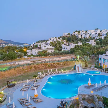 Alexander The Great &