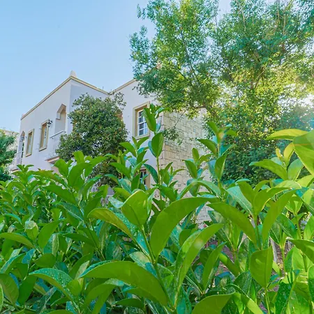 Alexander The Great & 3*