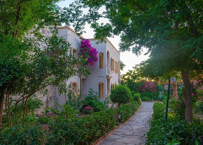 Alexander The Great & Отель