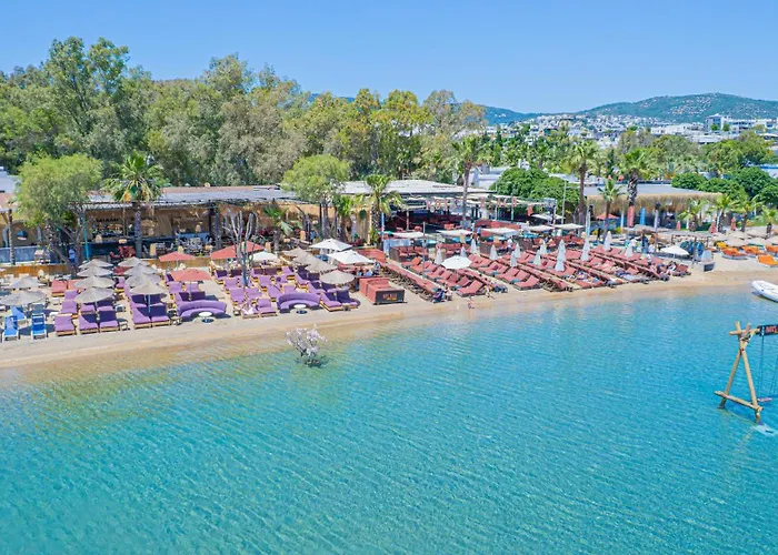 Alexander The Great &