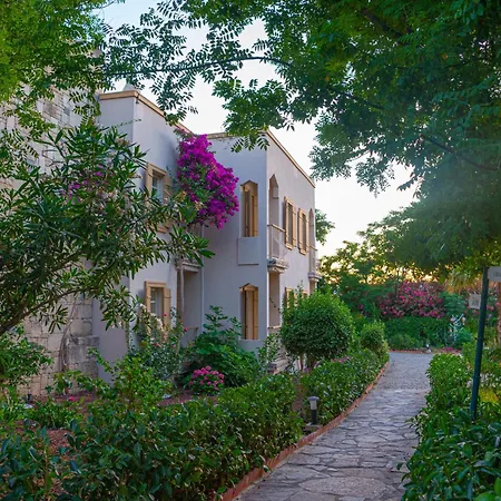 Alexander The Great & 호텔