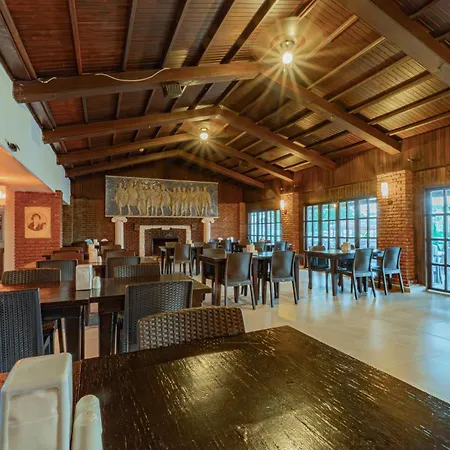 Alexander The Great & 호텔