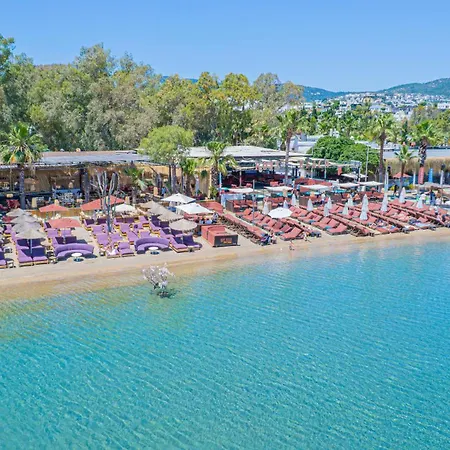 Alexander The Great &