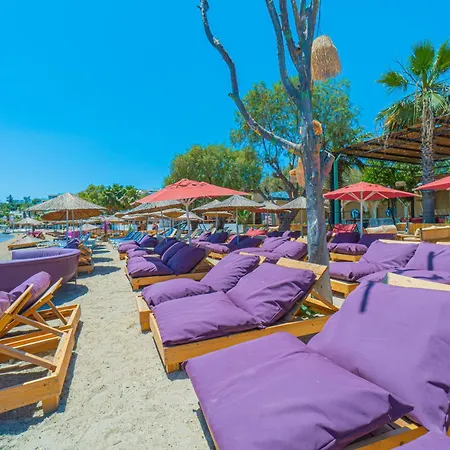 Alexander The Great &