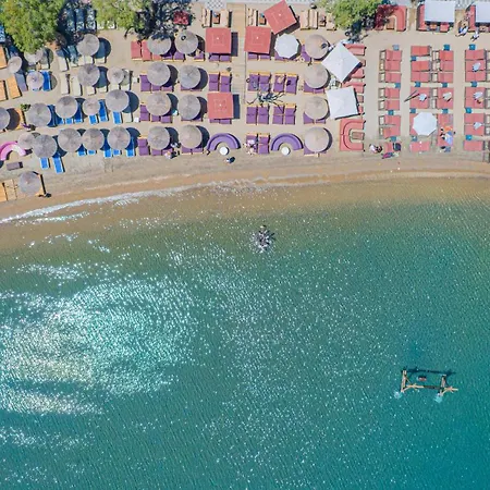 호텔 Alexander The Great & 3*