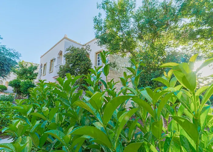 Alexander The Great & 3*