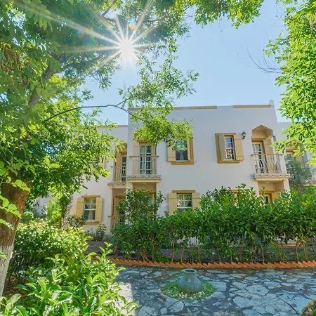 Alexander The Great &