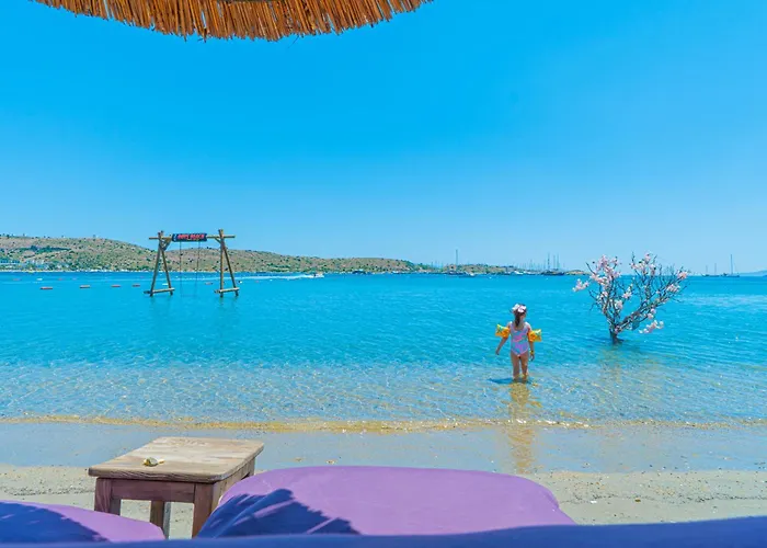 Alexander The Great & 3*